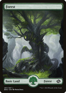 287-forest