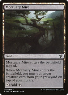 289-mortuarymire