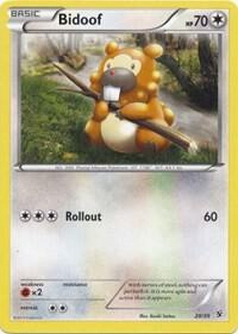 29-bidoof