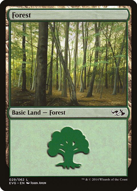 29-forest
