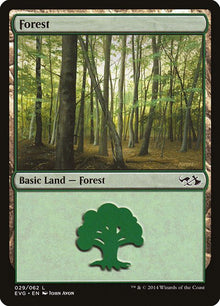 29-forest