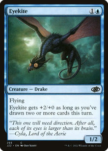 293-eyekite