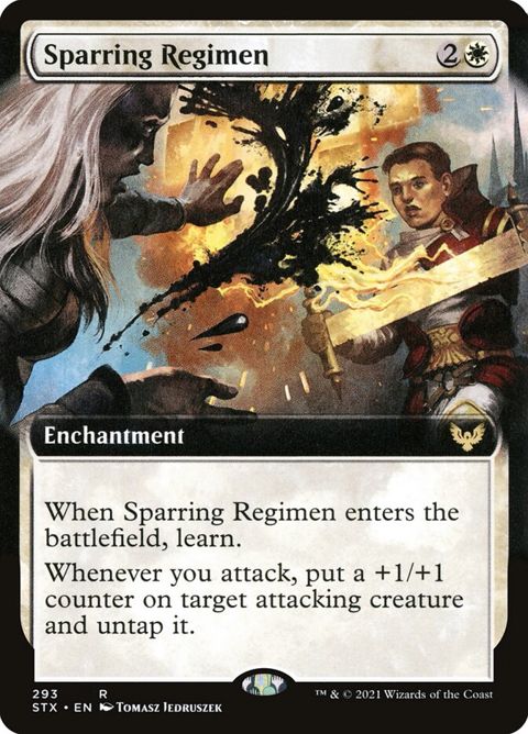 293-sparringregimen