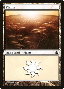 299-plains