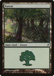 301-forest