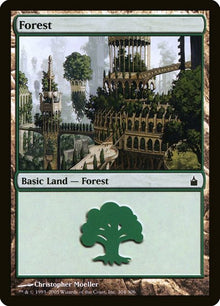 304-forest