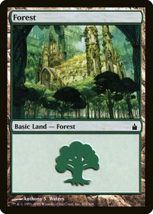 305-forest