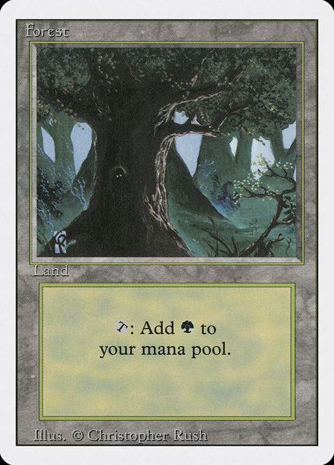 306-forest