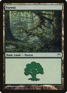 306-forest