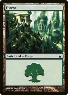 306-forest