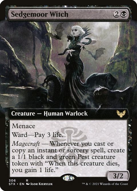 306-sedgemoorwitch