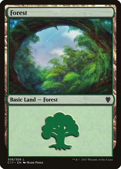 308-forest