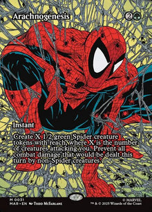 31-arachnogenesis