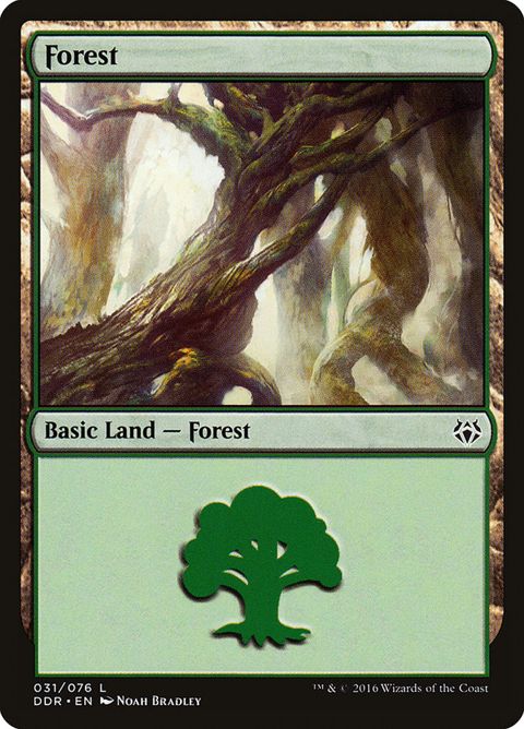 31-forest