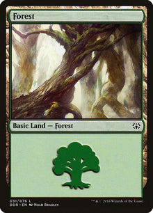 31-forest