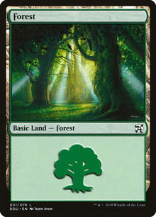 31-forest
