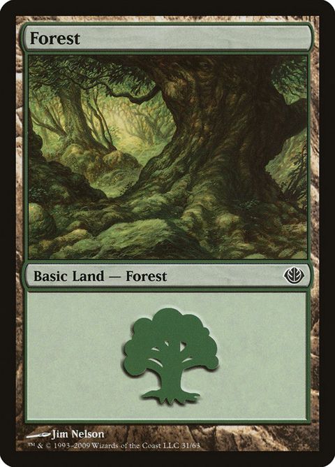 31-forest
