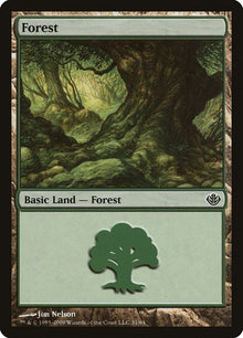 31-forest