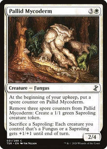 31-pallidmycoderm