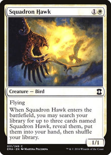 31-squadronhawk
