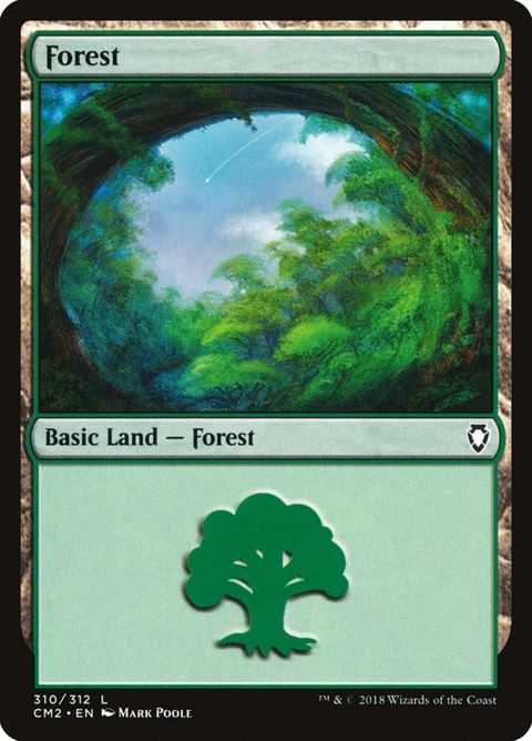 310-forest