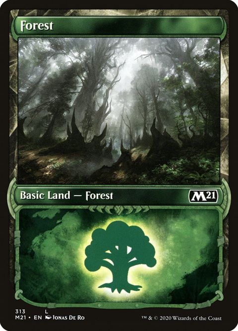 313-forest