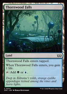 314-thornwoodfalls