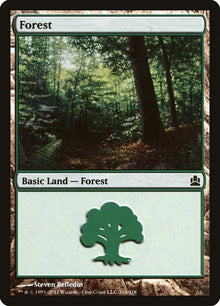 316-forest