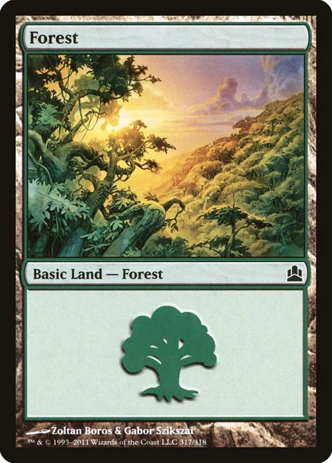317-forest