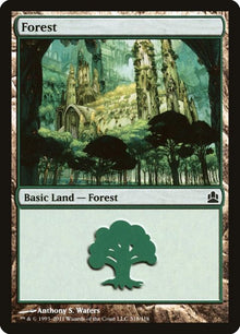 318-forest