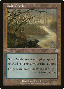 326-saltmarsh