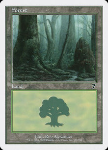 329-forest