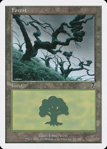 331-forest
