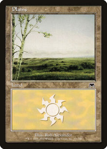 331-plains