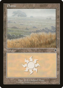 333-plains