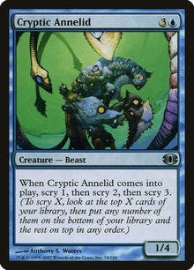 34-crypticannelid