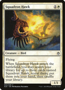34-squadronhawk