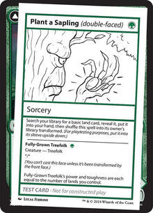 344-plantasaplingfullygrowntreefolk-a