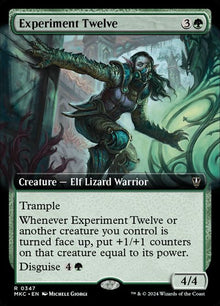 347-experimenttwelve