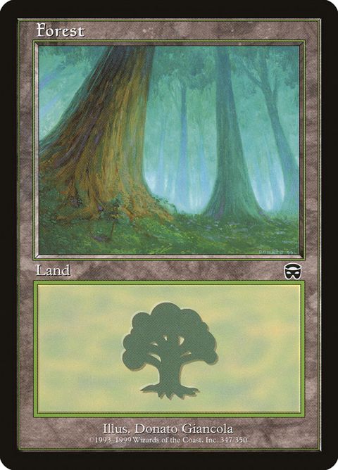 347-forest