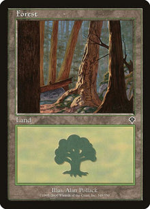 348-forest