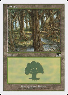 348-forest