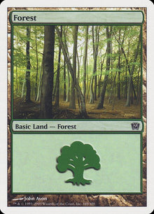 349-forest
