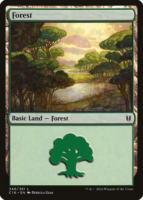 349-forest