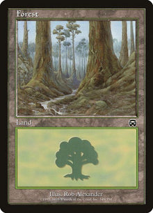 349-forest