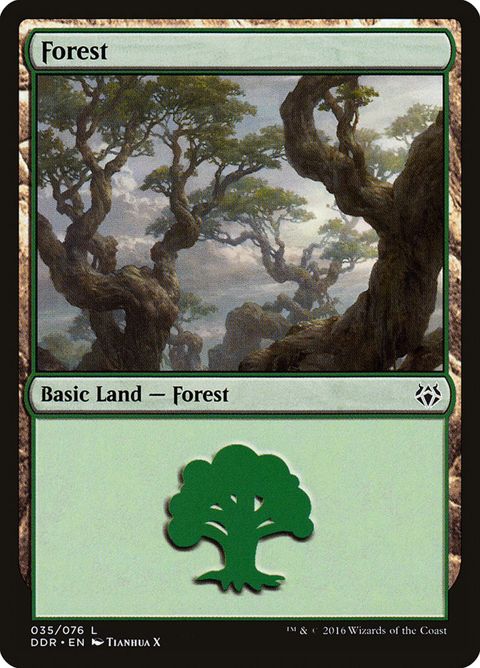 35-forest