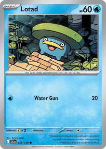 35-lotad