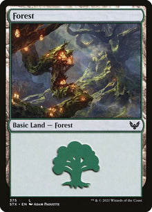 375-forest