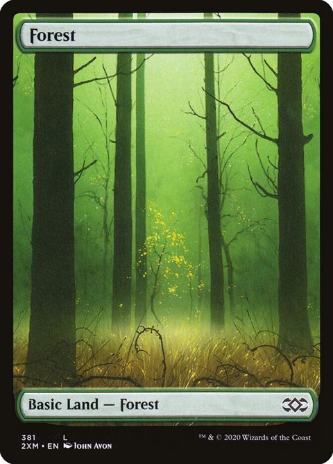 381-forest