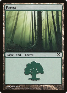 381-forest